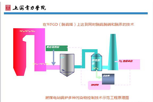 新澳门免费原料