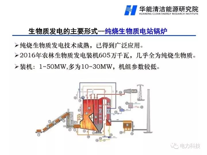 新澳门免费原料