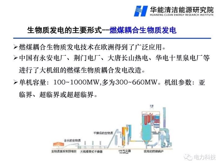 新澳门免费原料