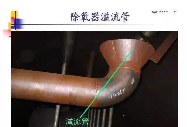 新澳门免费原料