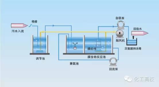 新澳门免费原料