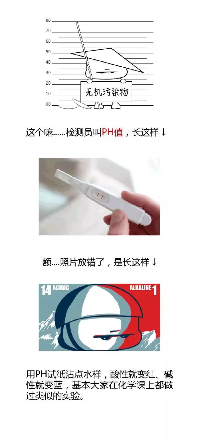 新澳门免费原料