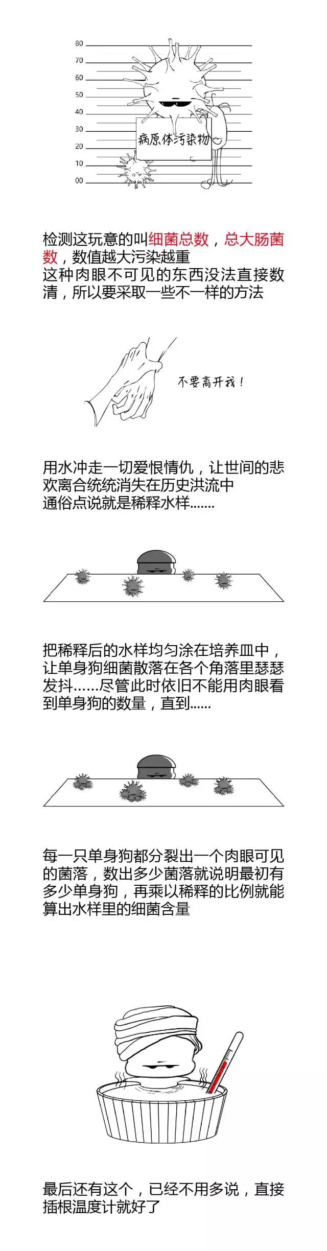 新澳门免费原料