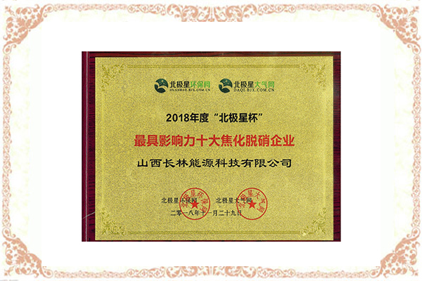 2018 年度十大焦化脱销企业
