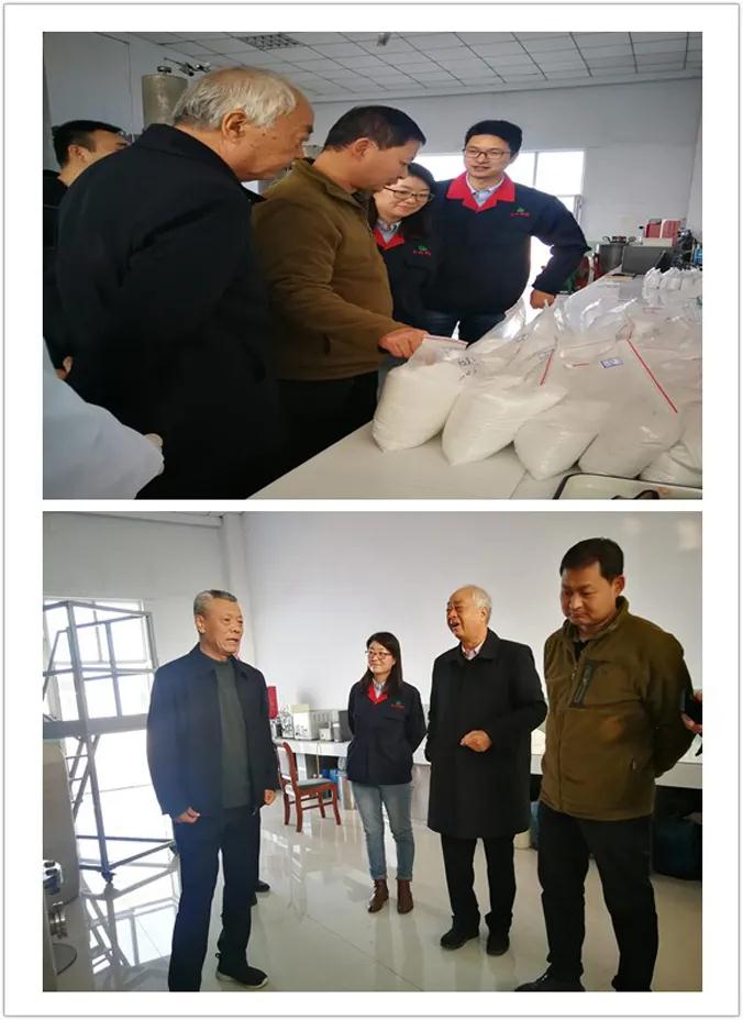 新澳门免费原料