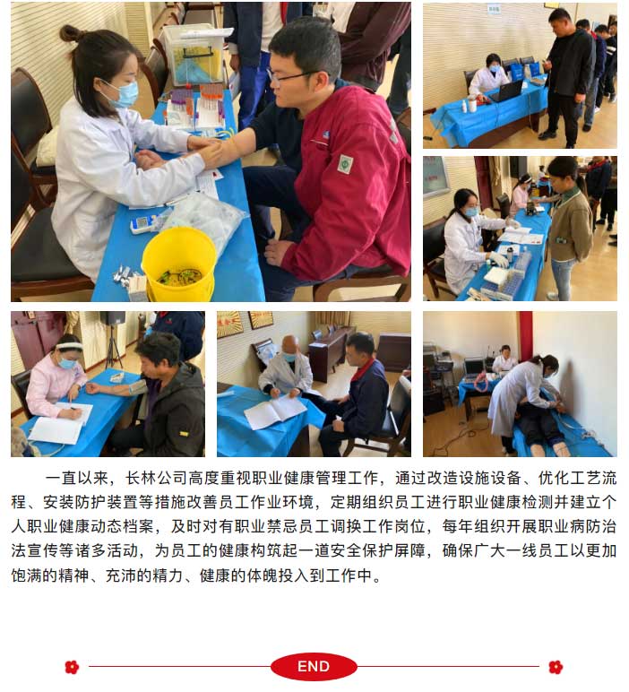 新澳门免费原料