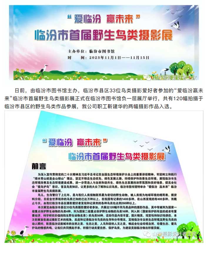 新澳门免费原料